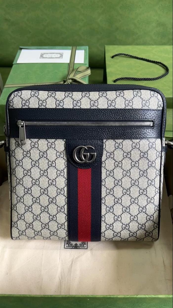 202529C547934N164033339