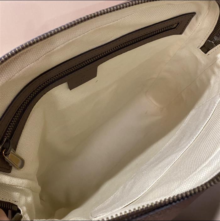 202529C547934N16403341