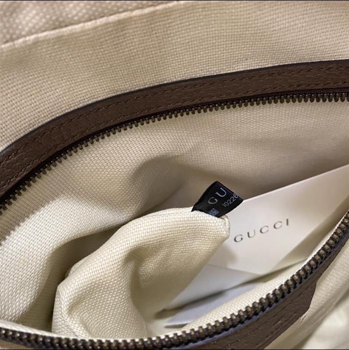 202529C547934N16403373