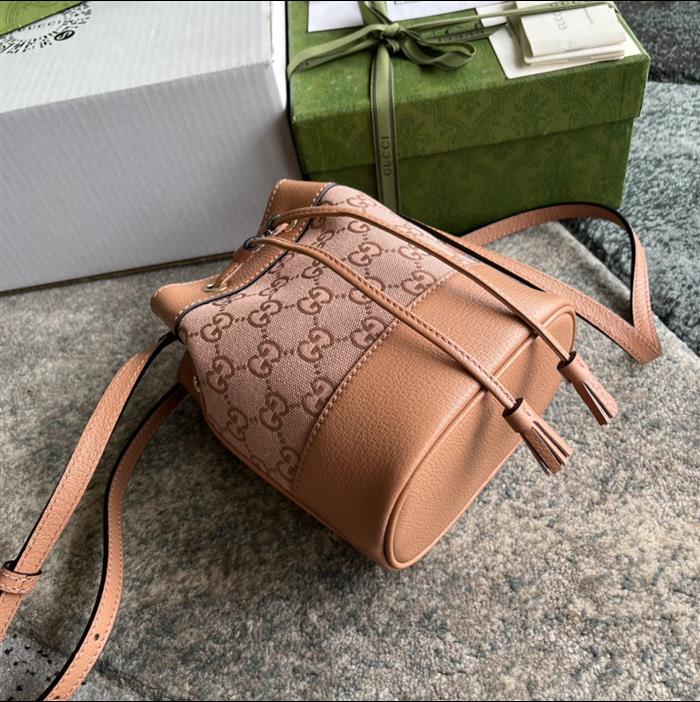 202529C550620N164034125