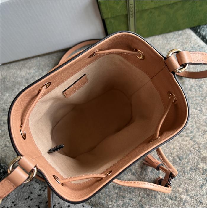 202529C550620N164034157