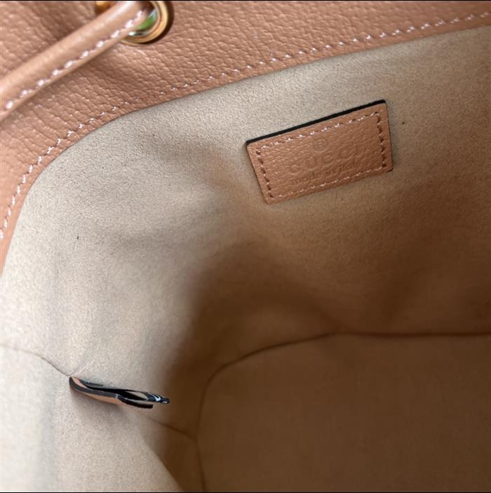 202529C550620N164034173