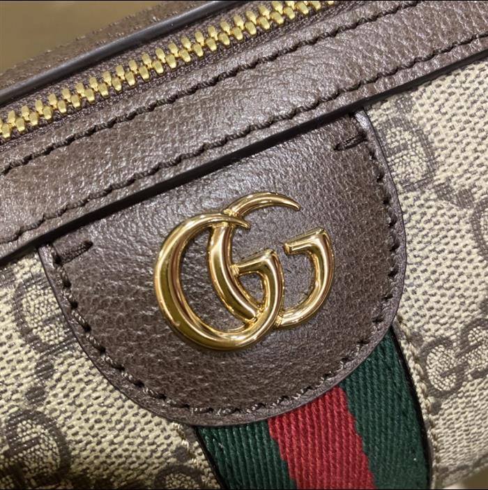 202529C602577N164036745