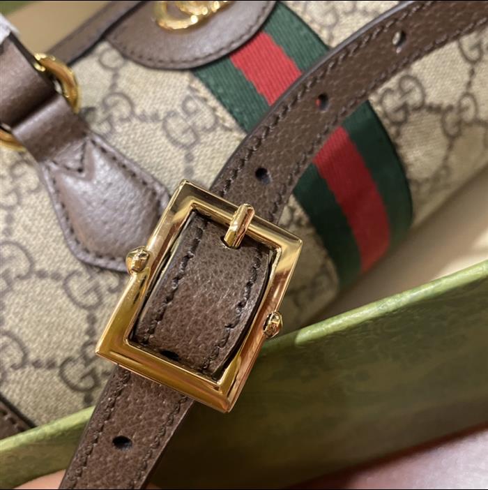 202529C602577N164036777