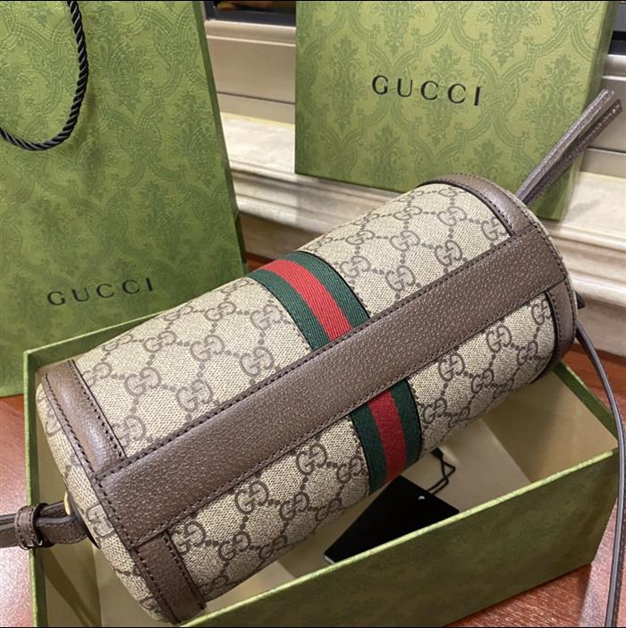 202529C602577N164036792