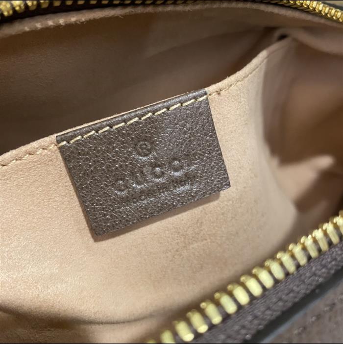 202529C602577N164036823