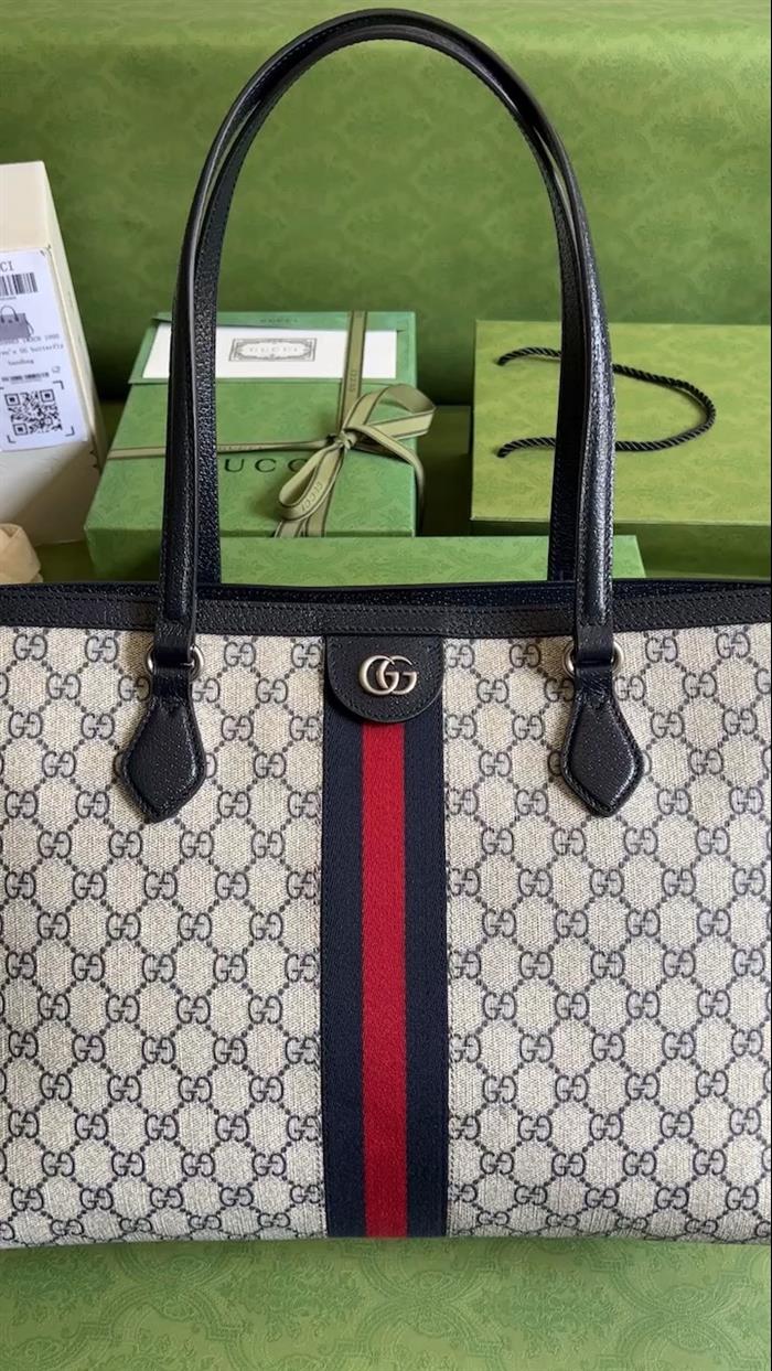 202529C631685N164037495