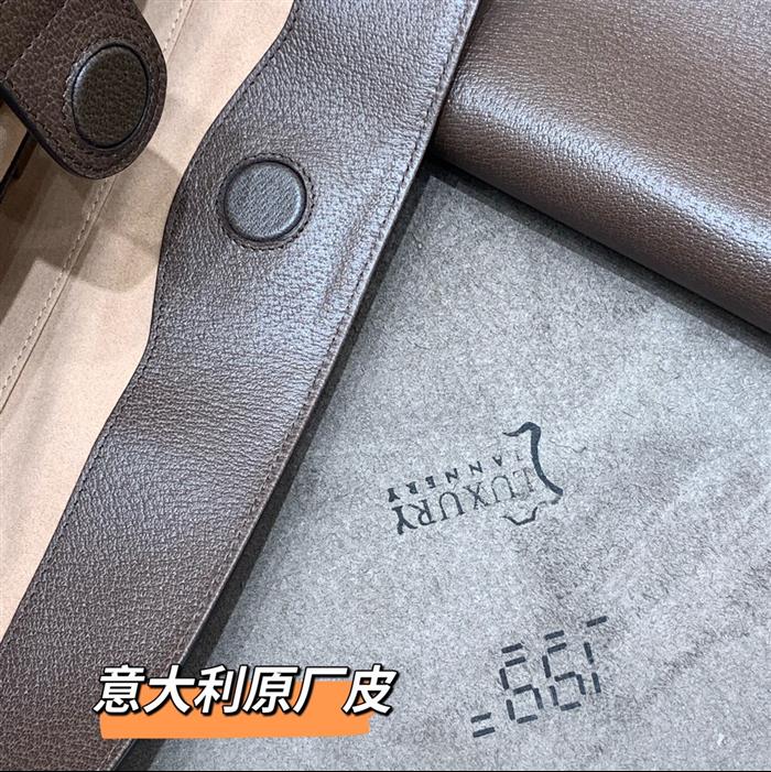 202529C631685N164037729