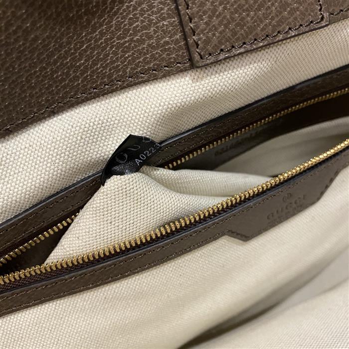 202529C631685N164038167