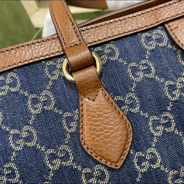 202529C631685N164038244