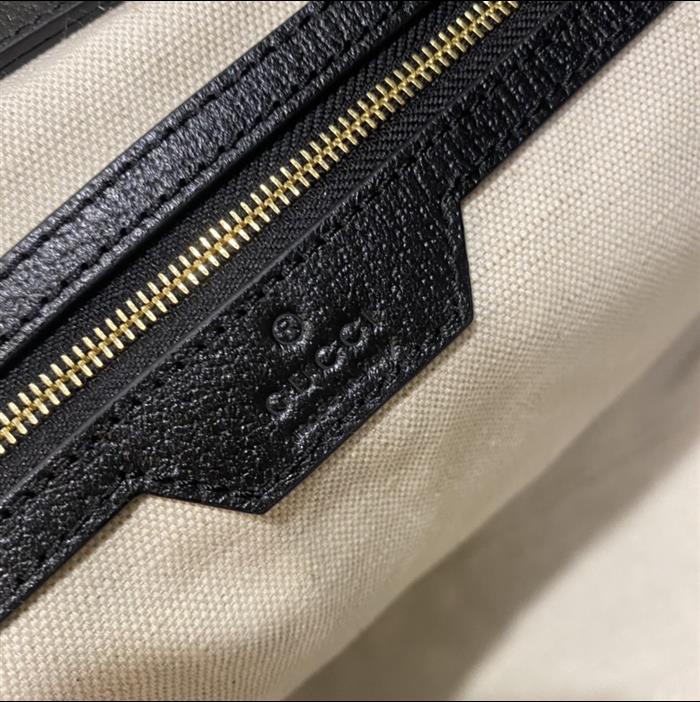 202529C631685N164038447