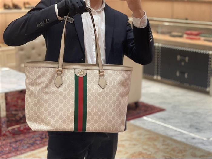 202529C631685N164038685