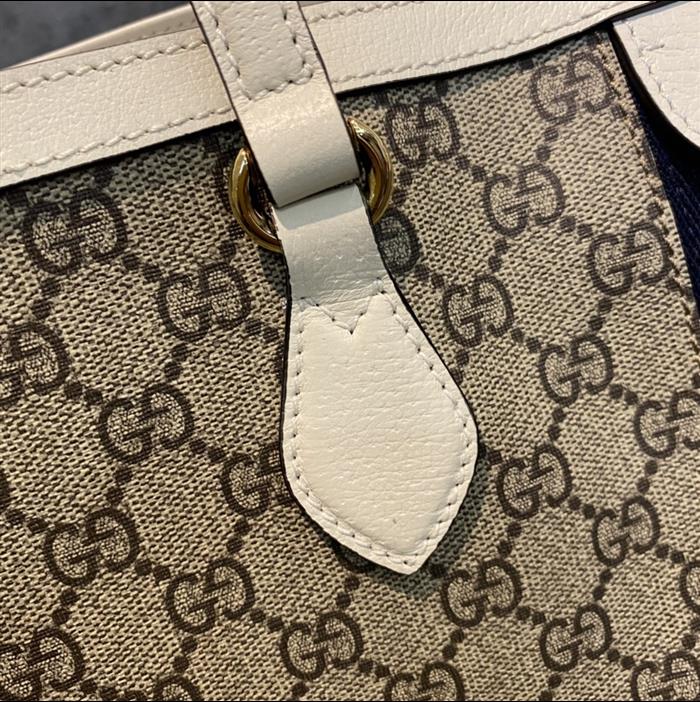 202529C631685N164039744