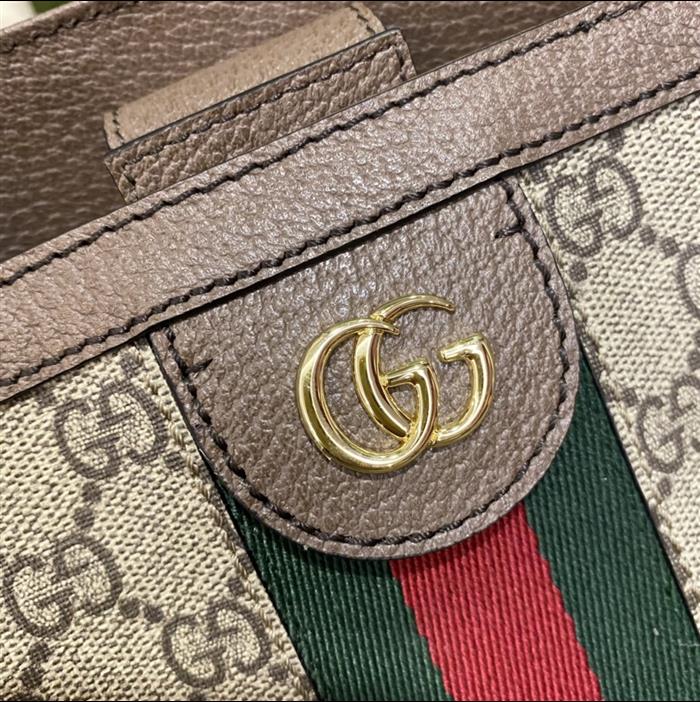 202529C631685N164039806