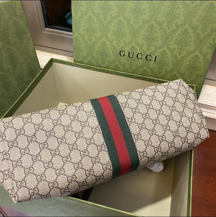 202529C631685N164039822