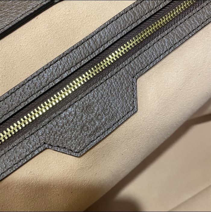 202529C631685N164039837