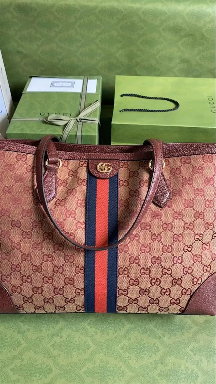 202529C631685N16404041