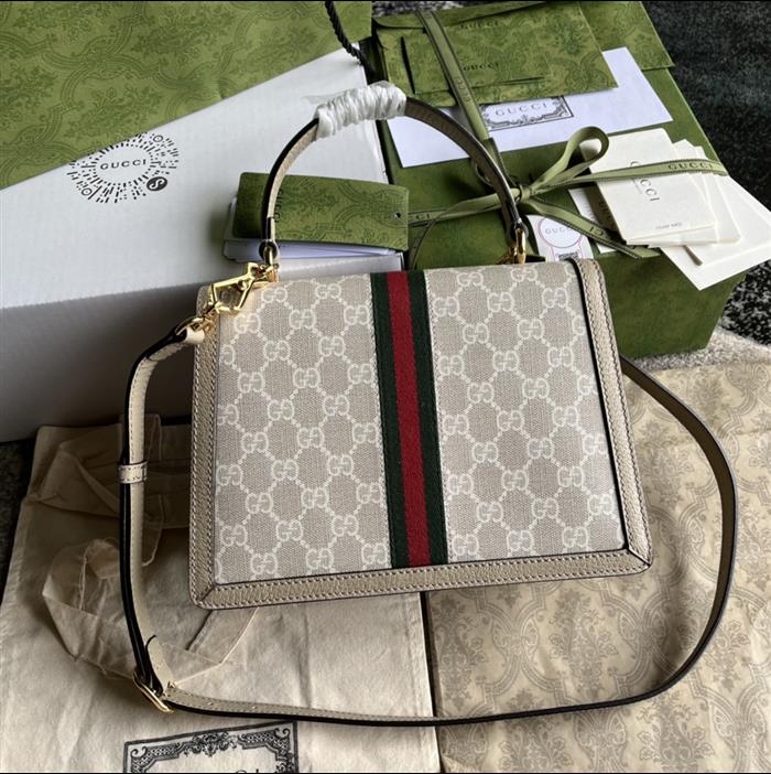 202529C651055N164040232