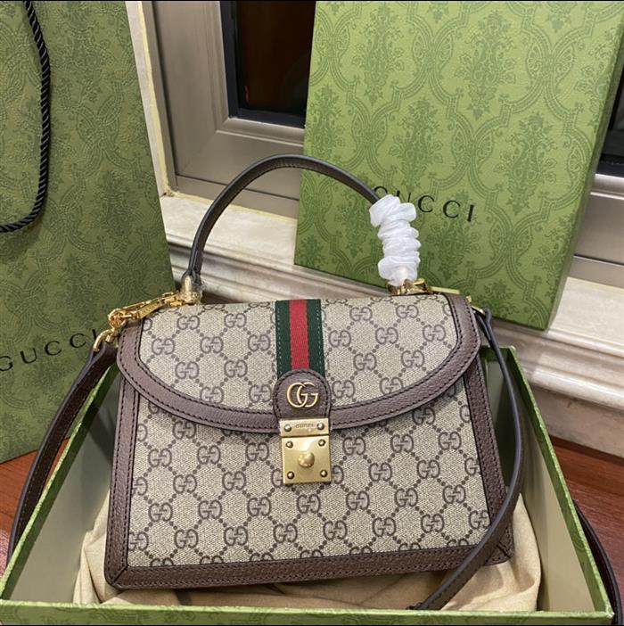 202529C651055N164040343