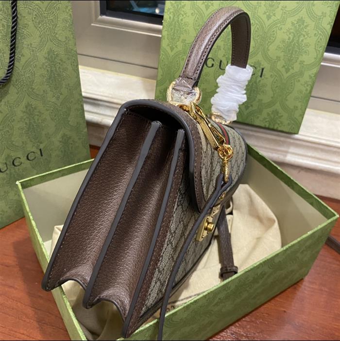 202529C651055N164040358