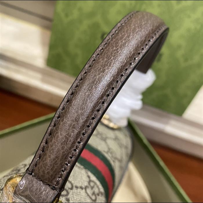 202529C651055N164040405