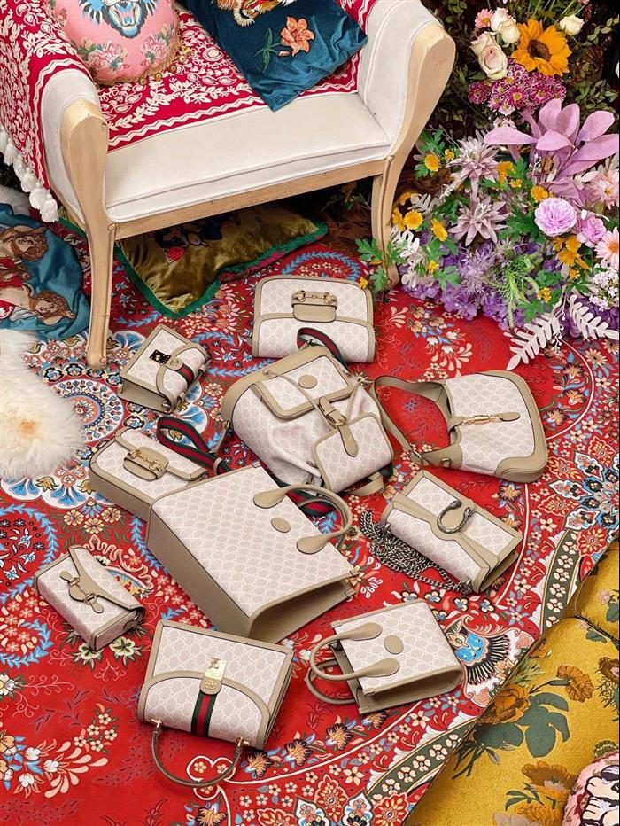 202529C651055N164041158