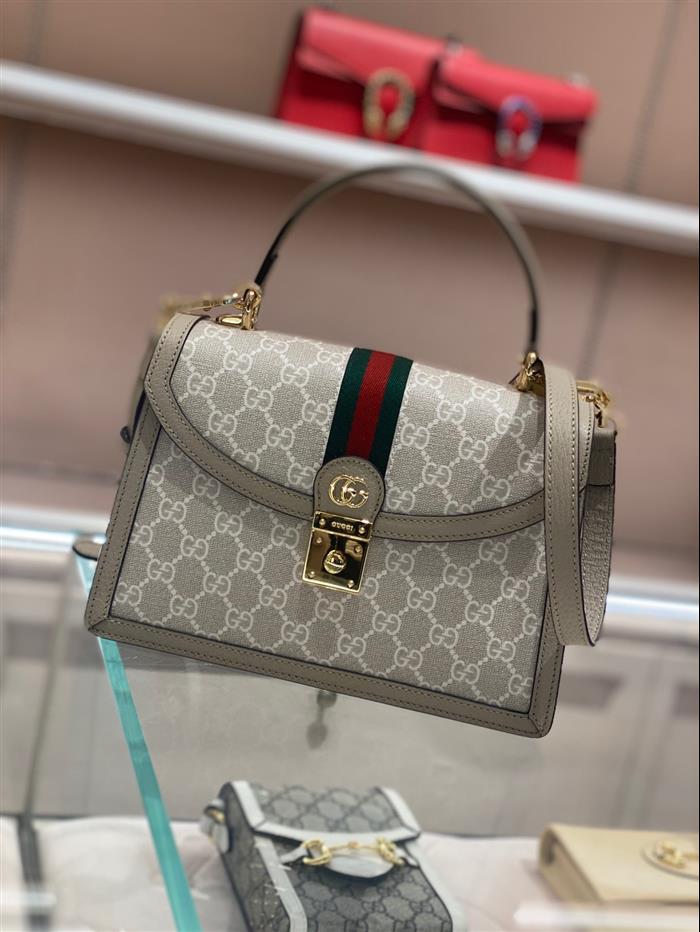 202529C651055N164041204