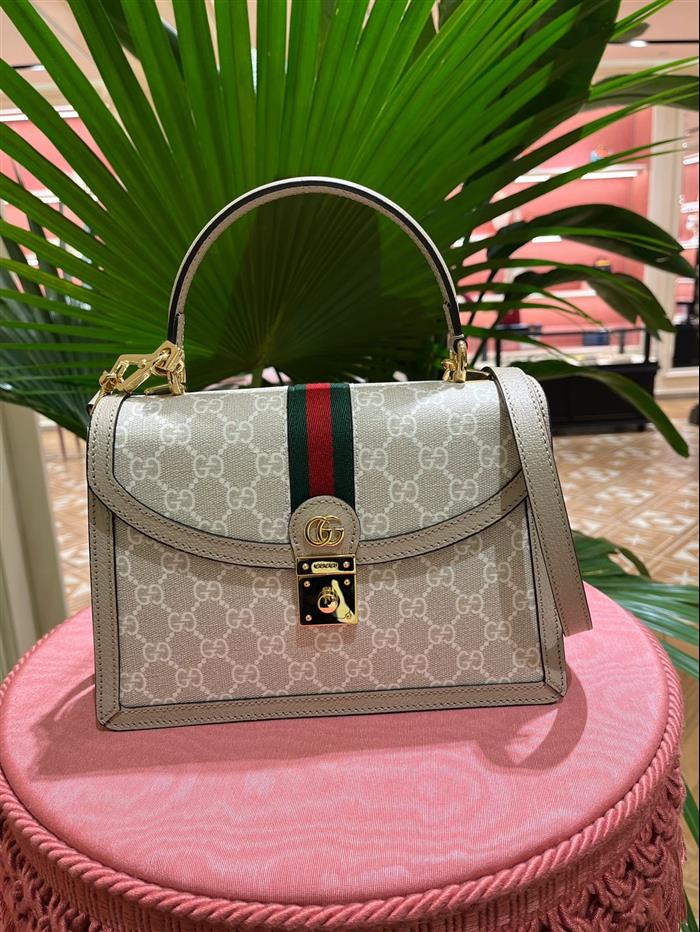 202529C651055N164041219