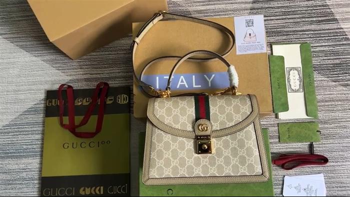 202529C651055N164041267