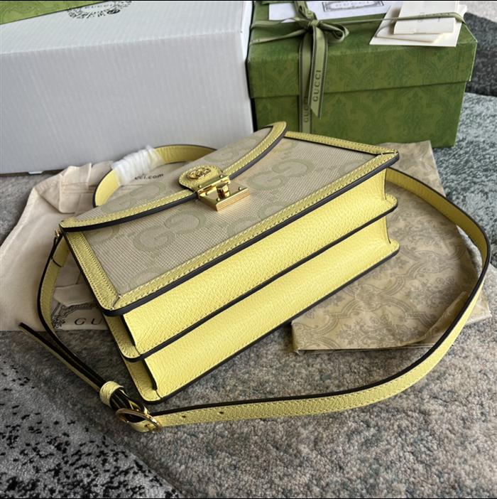 202529C651055N164041346