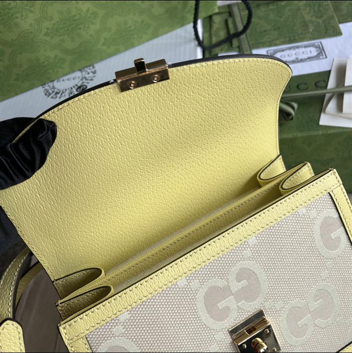 202529C651055N164041378