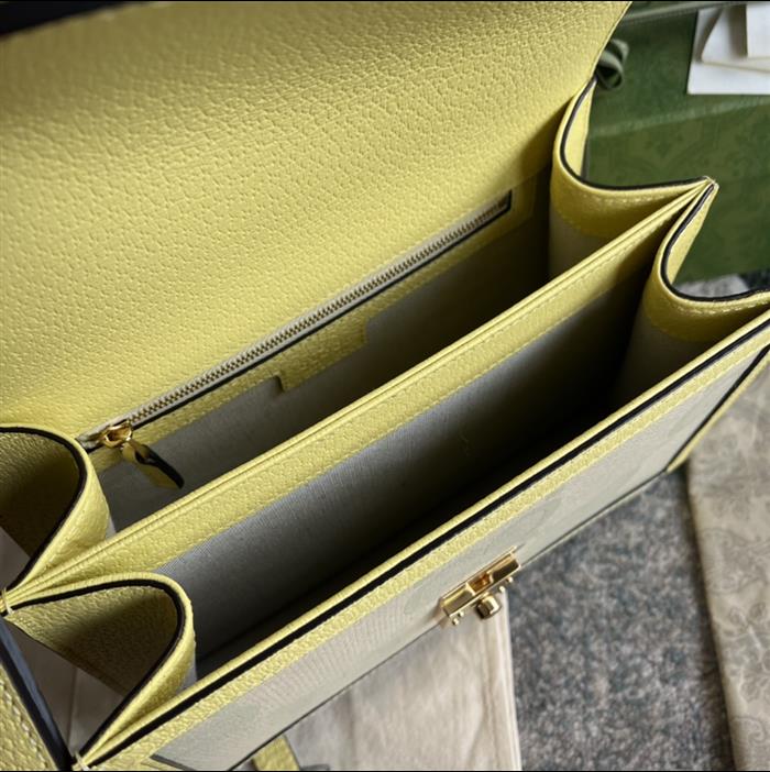 202529C651055N164041394