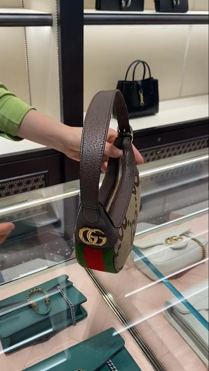 202529C658551N164041582