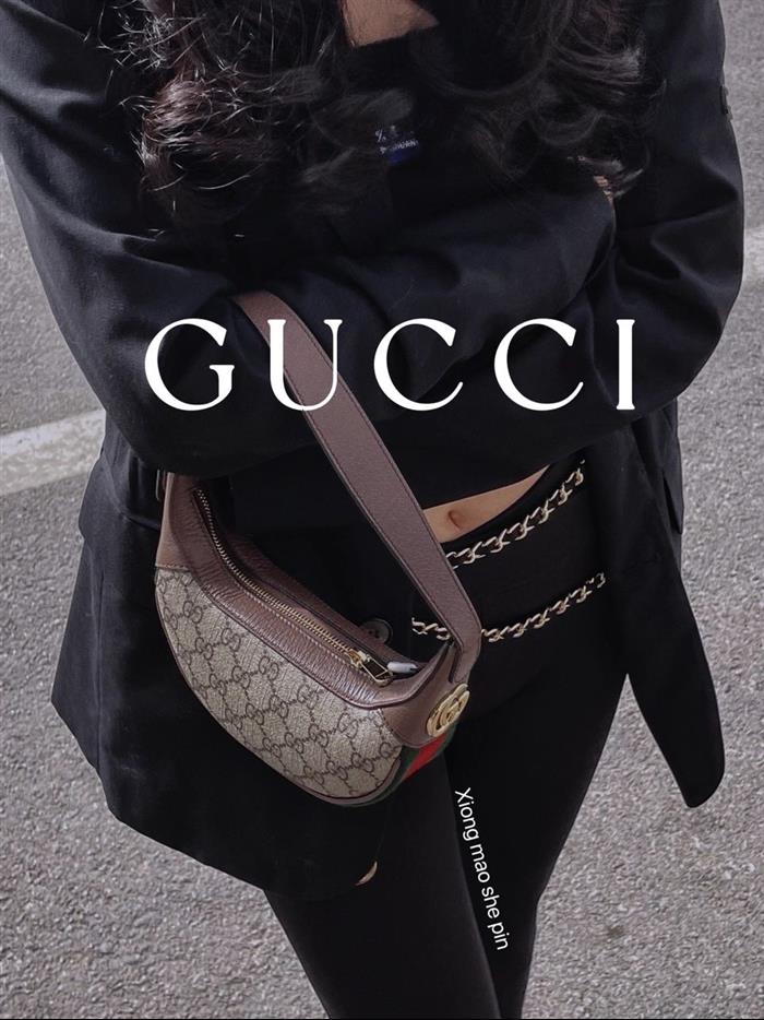 202529C658551N164041978