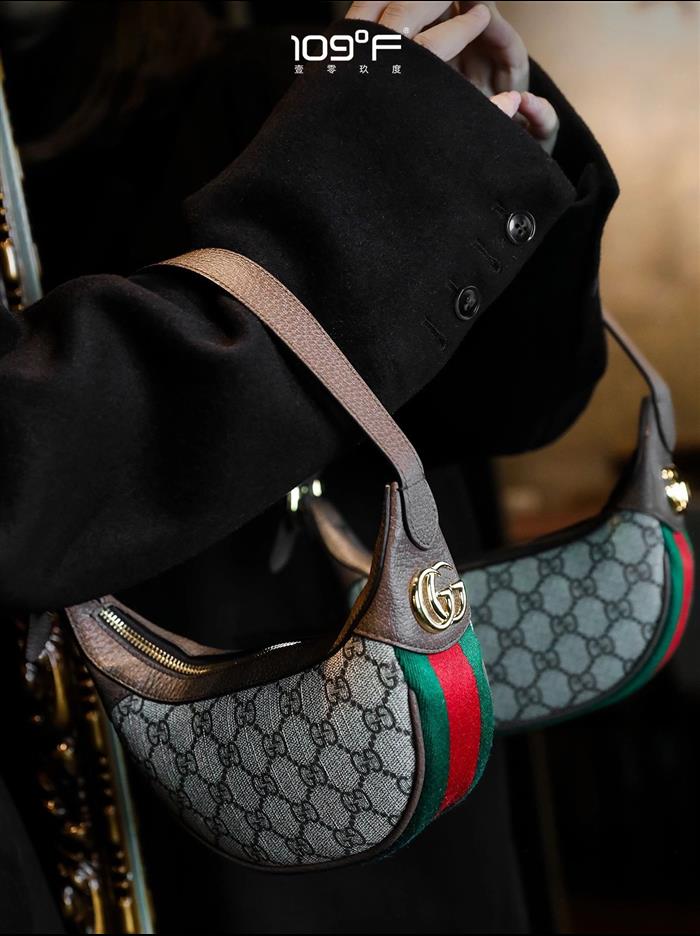 202529C658551N16404286