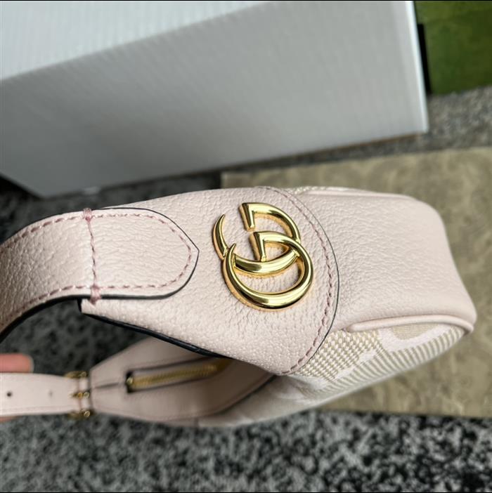 202529C658551N164043457