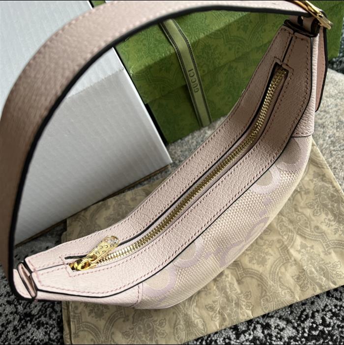 202529C658551N164043487