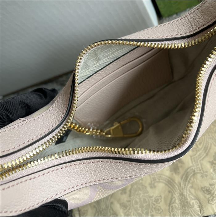 202529C658551N164043503