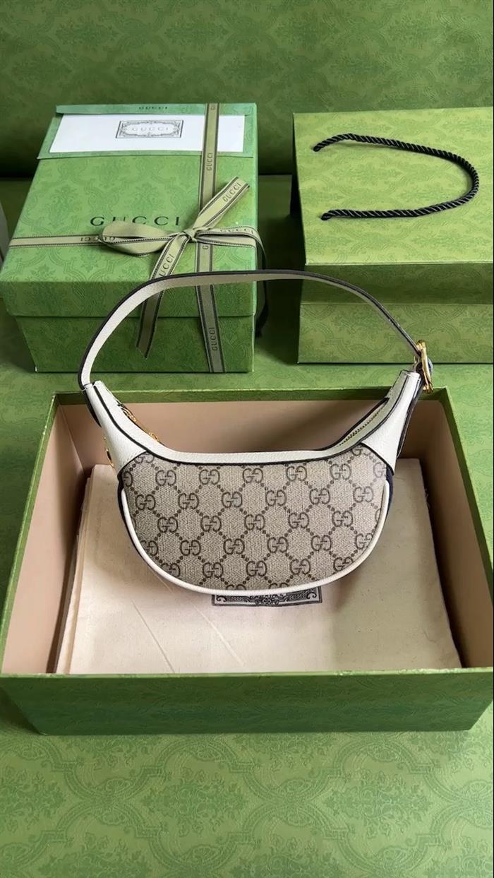 202529C658551N164043534