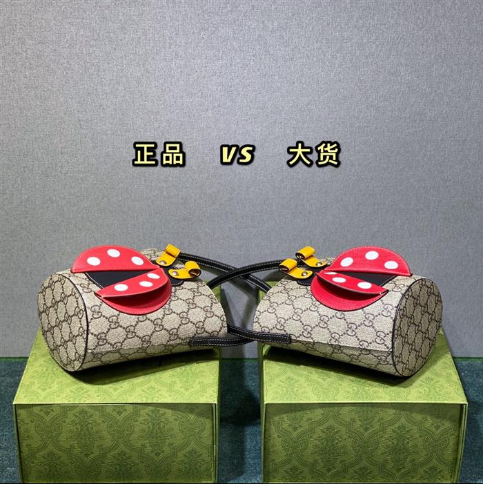 2025210C666277N20303356