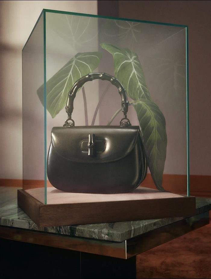 2025210C675797N202042224