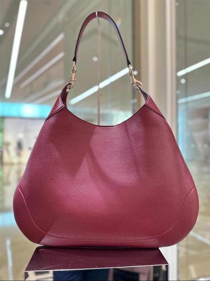 2025210C820169N202216579