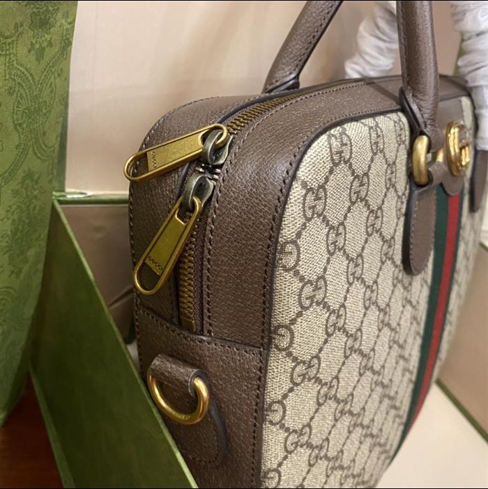 202529C574793N164034266