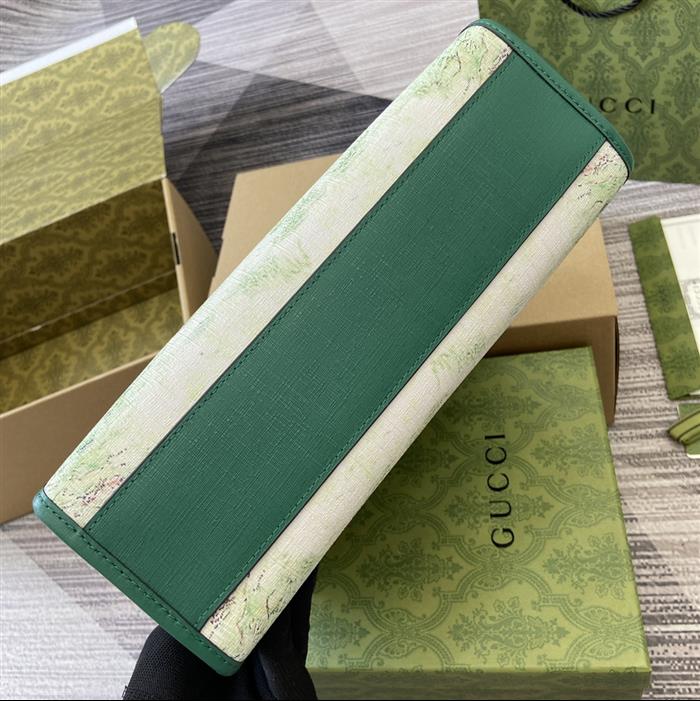 202529C605614N1641524