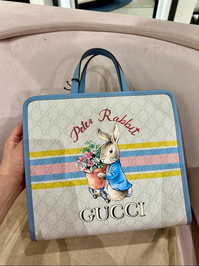 202529C605614N16416300