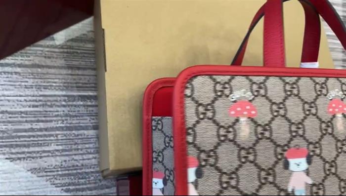 202529C605614N164173