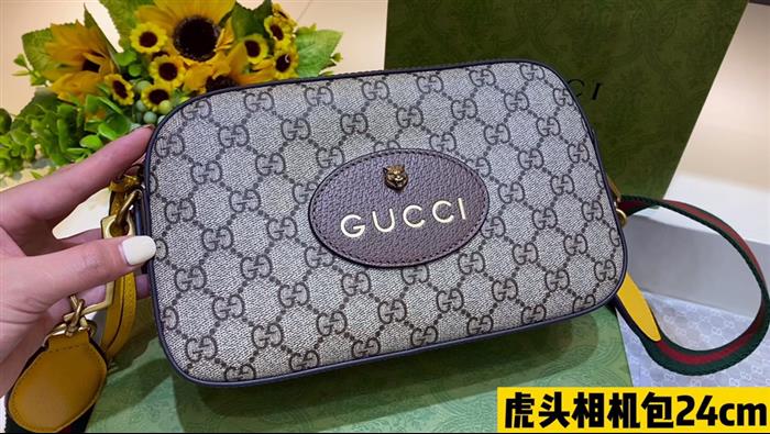 202529C476466N163423209