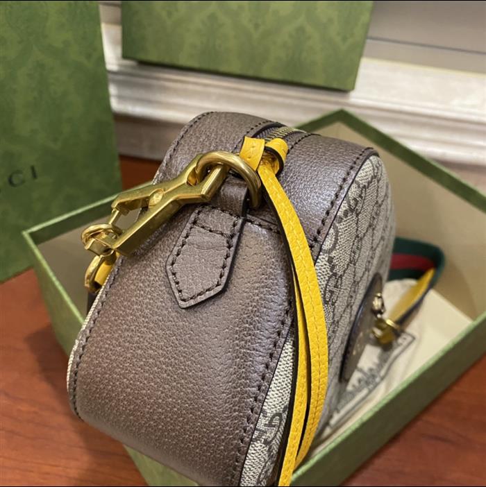 202529C476466N163423238