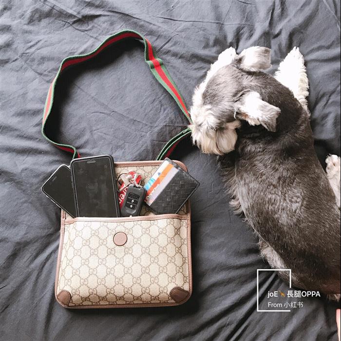 202529C489617N164017409