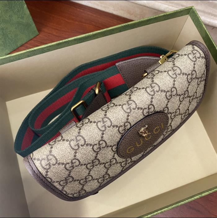 202529C489617N164017503